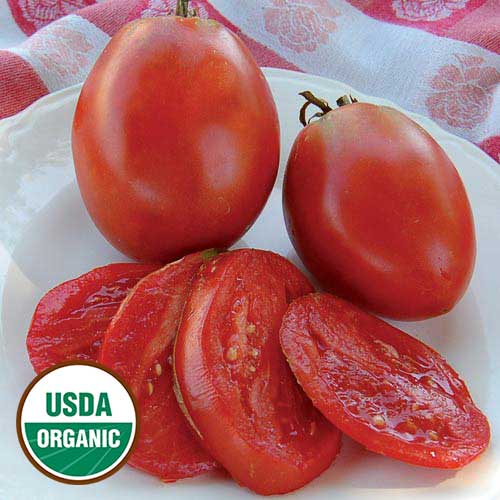 Seed Savers Organic Amish Paste Tomato