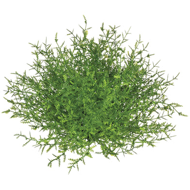 Feather Fern Half Orb