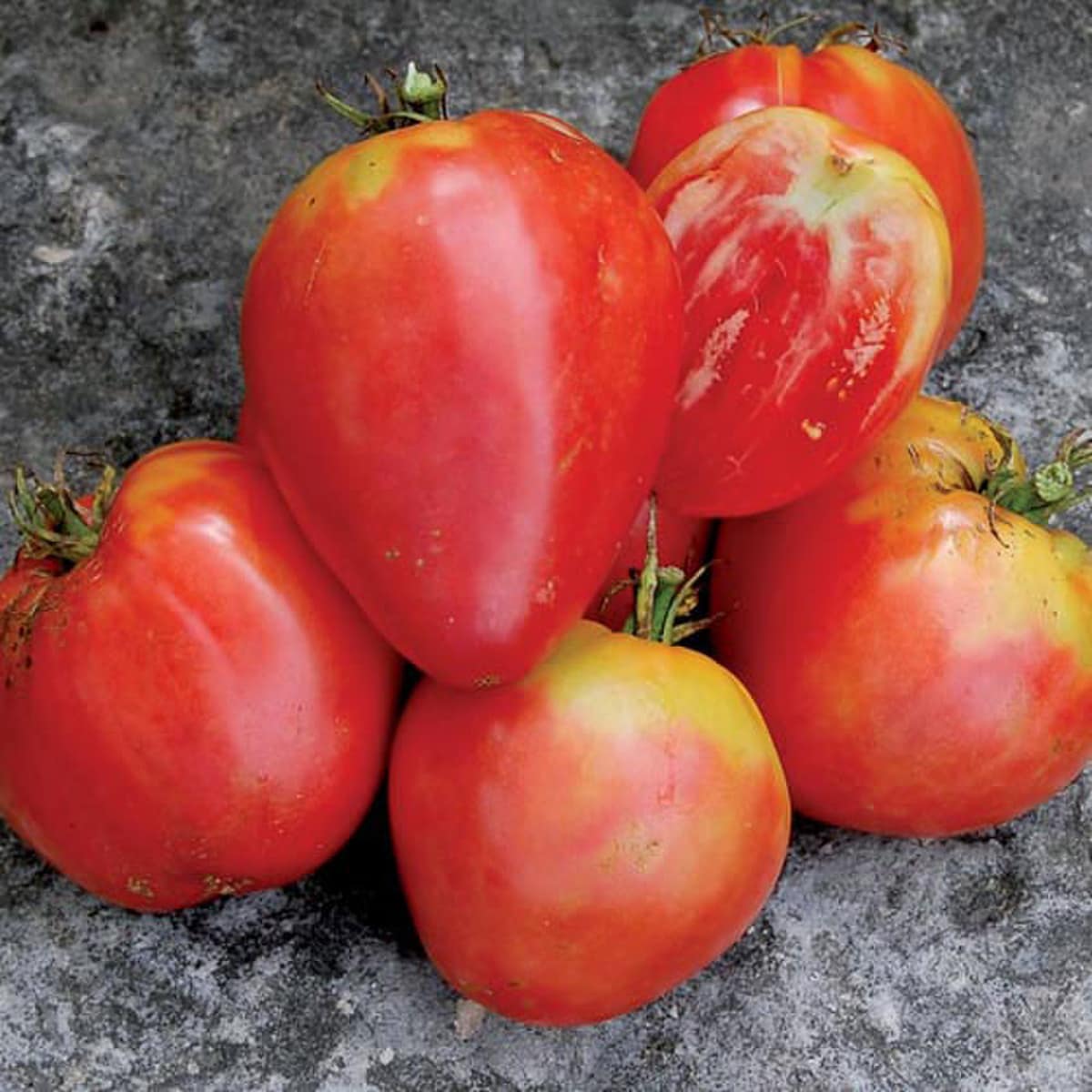 Seed Savers Hungarian Heart Tomato