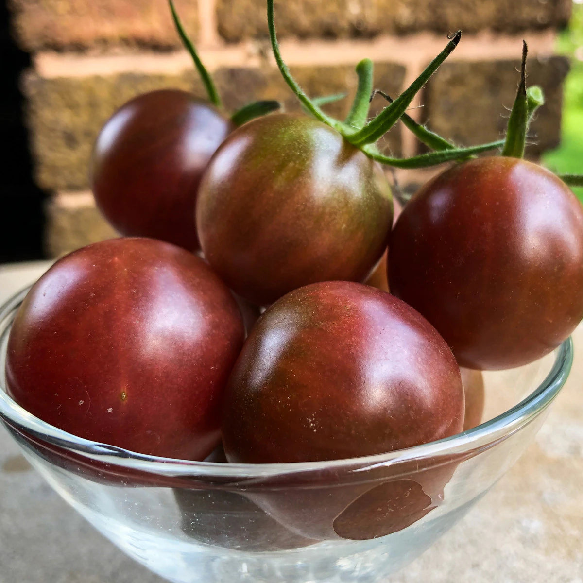 Seed Savers Chocolate Cherry Tomato