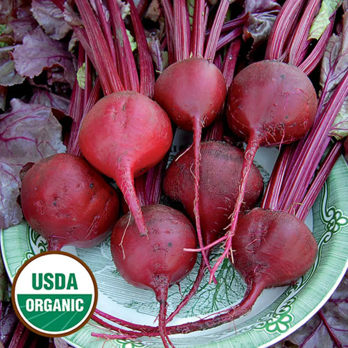 Seed Savers Organic Bull's Blood Beet