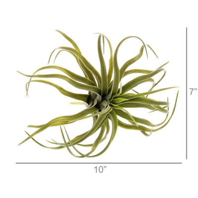 Faux Tillandsia