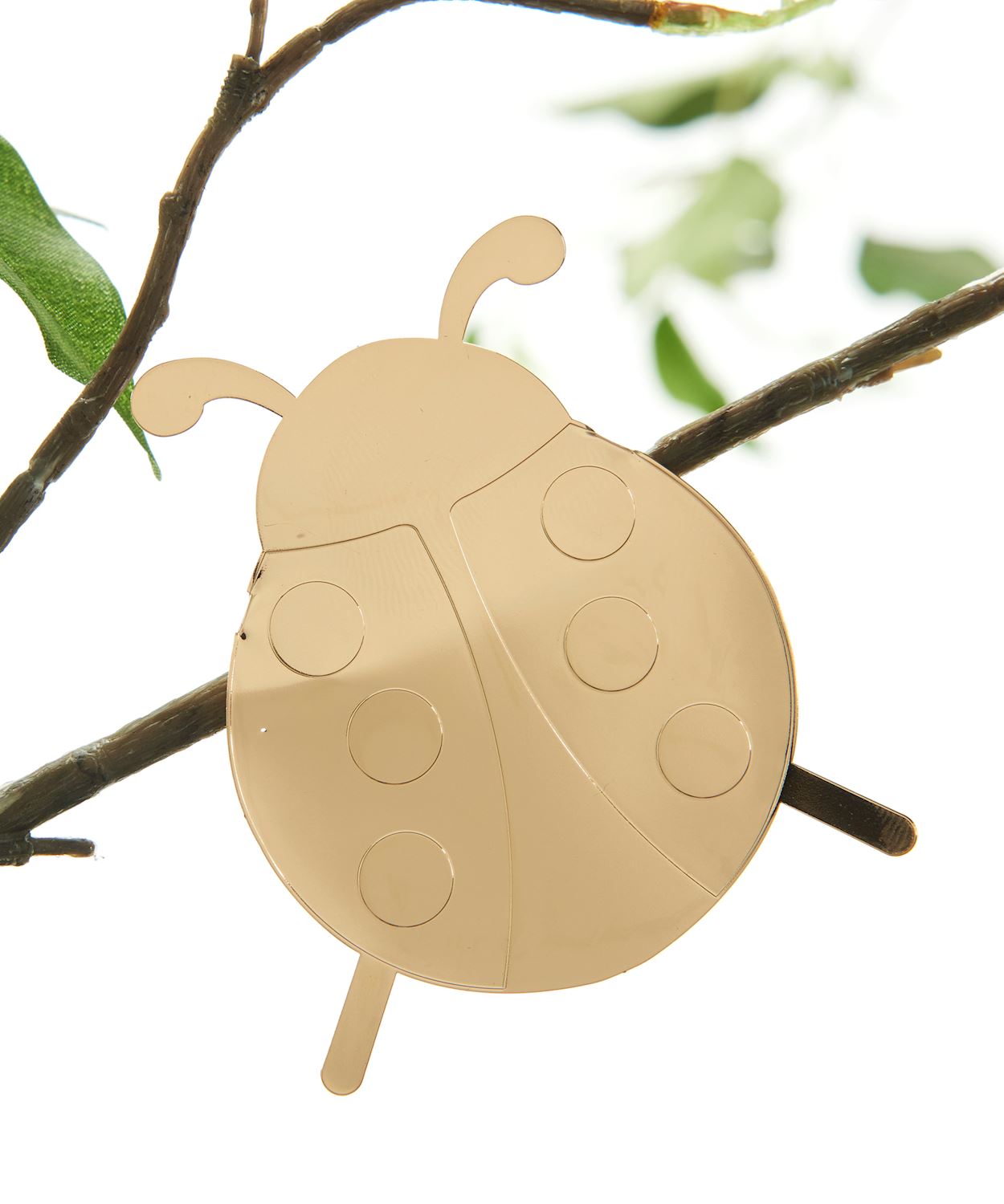 Ladybug Plant Jewelry