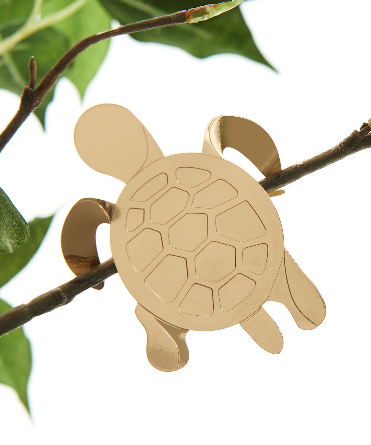 Turtle Plant Jewelry