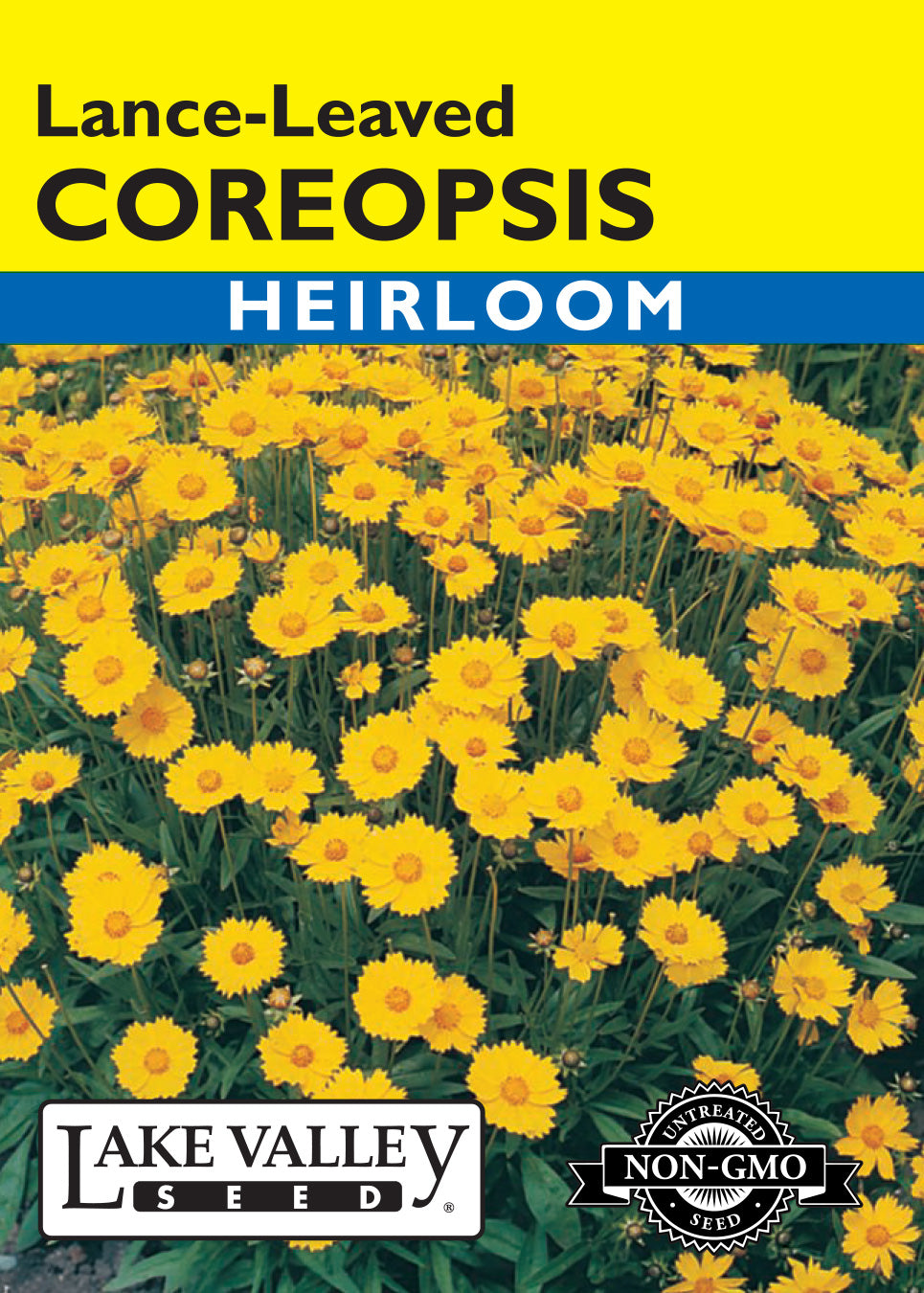 Lance-Leaved Coreopsis Seeds
