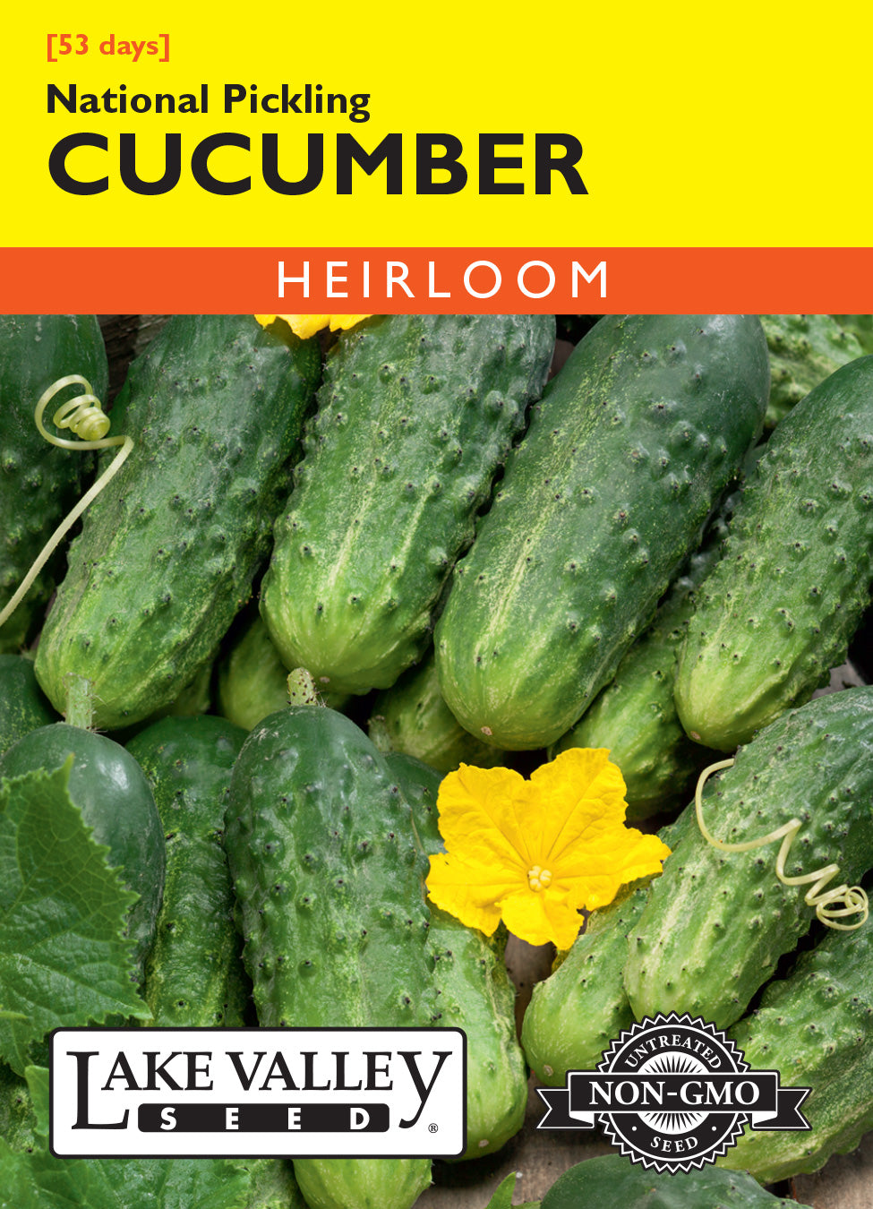 Cucumber National Pickling Seeds