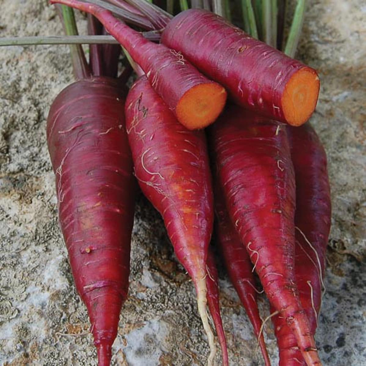 Seed Savers Dragon Carrot