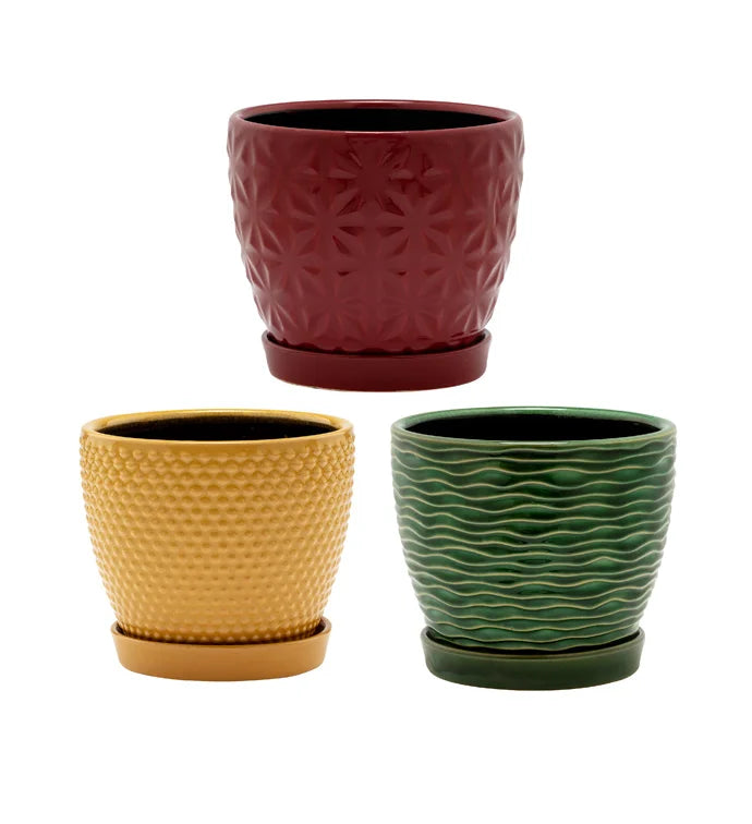 6" Laser Pot