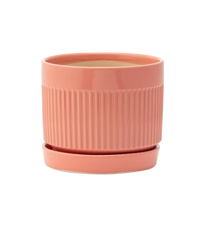 Orange Ribbed Planter