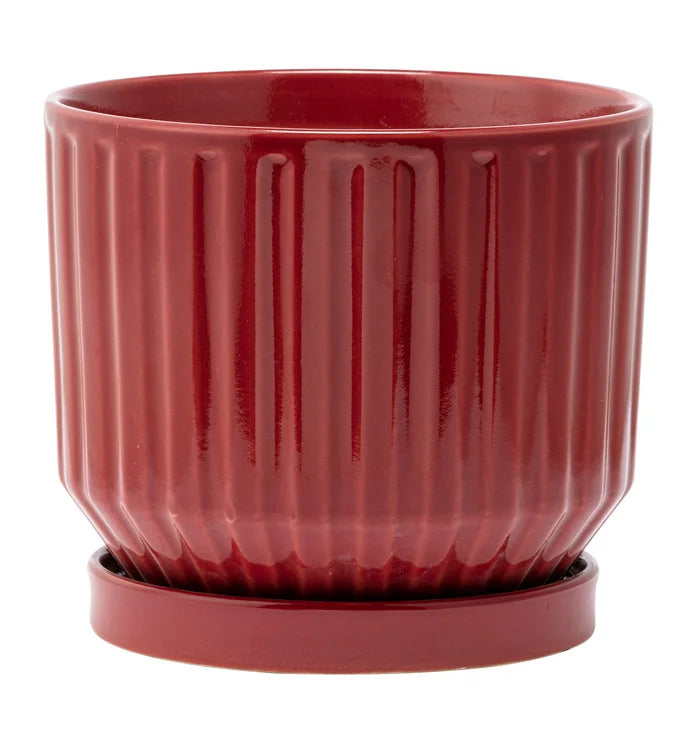 Burgundy Ribbed Planter with Saucer