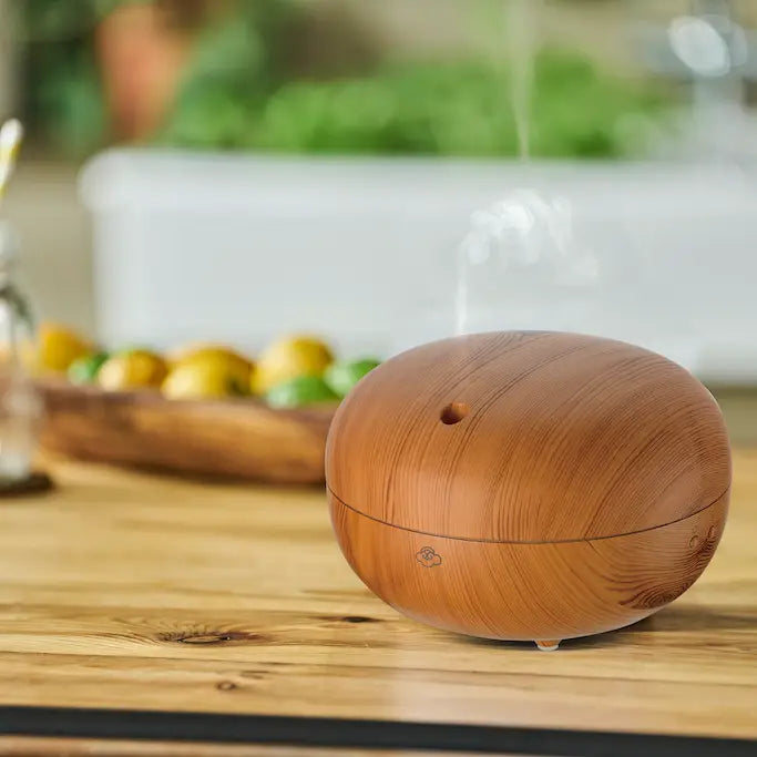 Macaron Light Wood Scentilizer