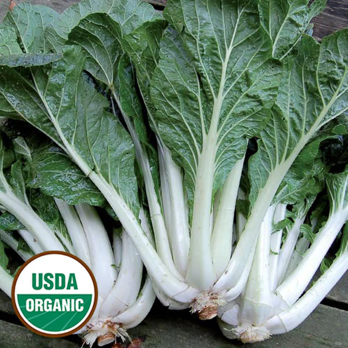Seed Savers Organic Prize Choy Asian Greens