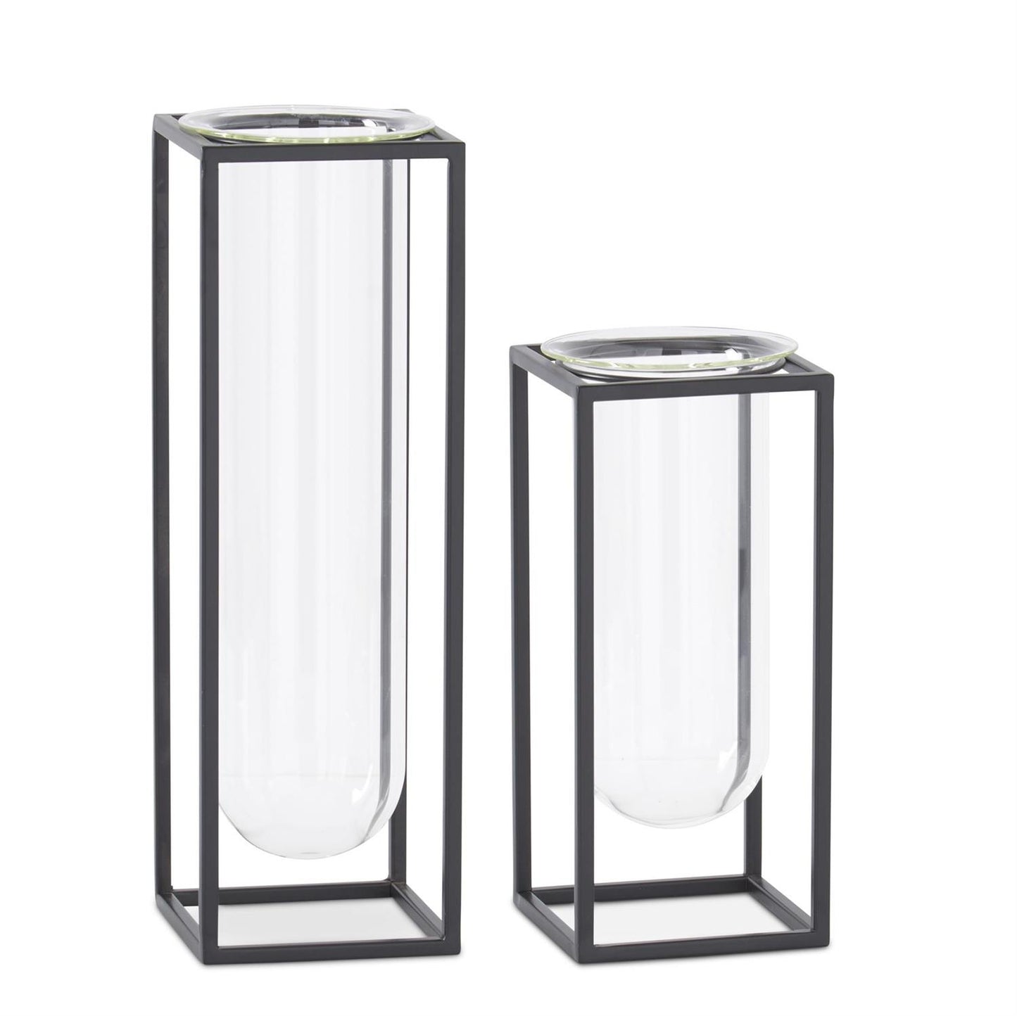 Glass Test Tube Vase in Black Metal