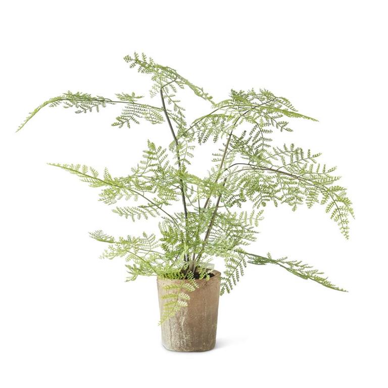 Faux Fern in Ceramic Pot