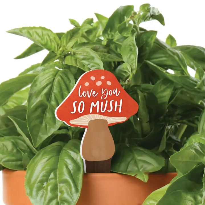 Love You So Mush Plant Pal