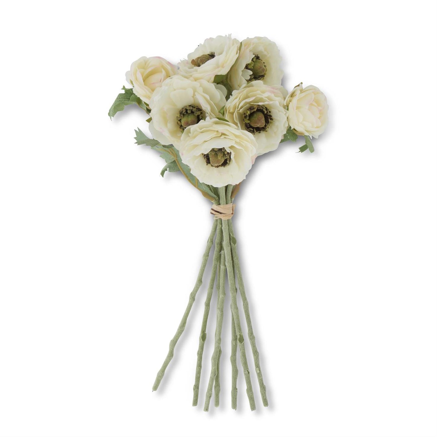 Ranunculus Bundle in White