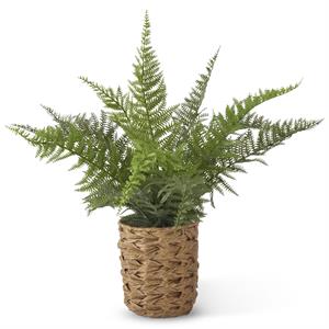 Faux Fern in Woven Pot with Rocks
