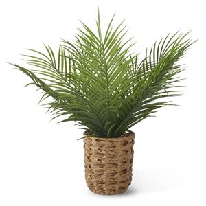 Faux Fern in Woven Pot with Rocks