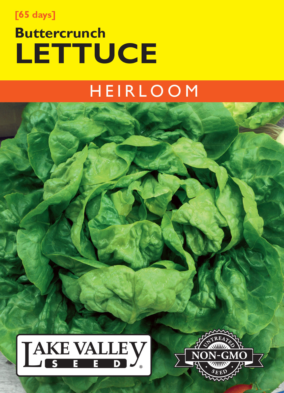 Lettuce Buttercrunch Seeds