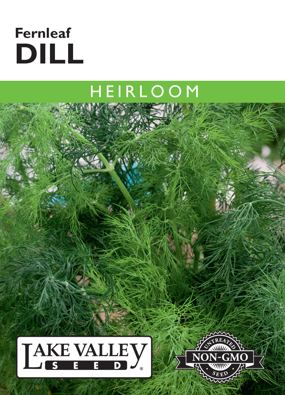 Dill Fernleaf Seeds
