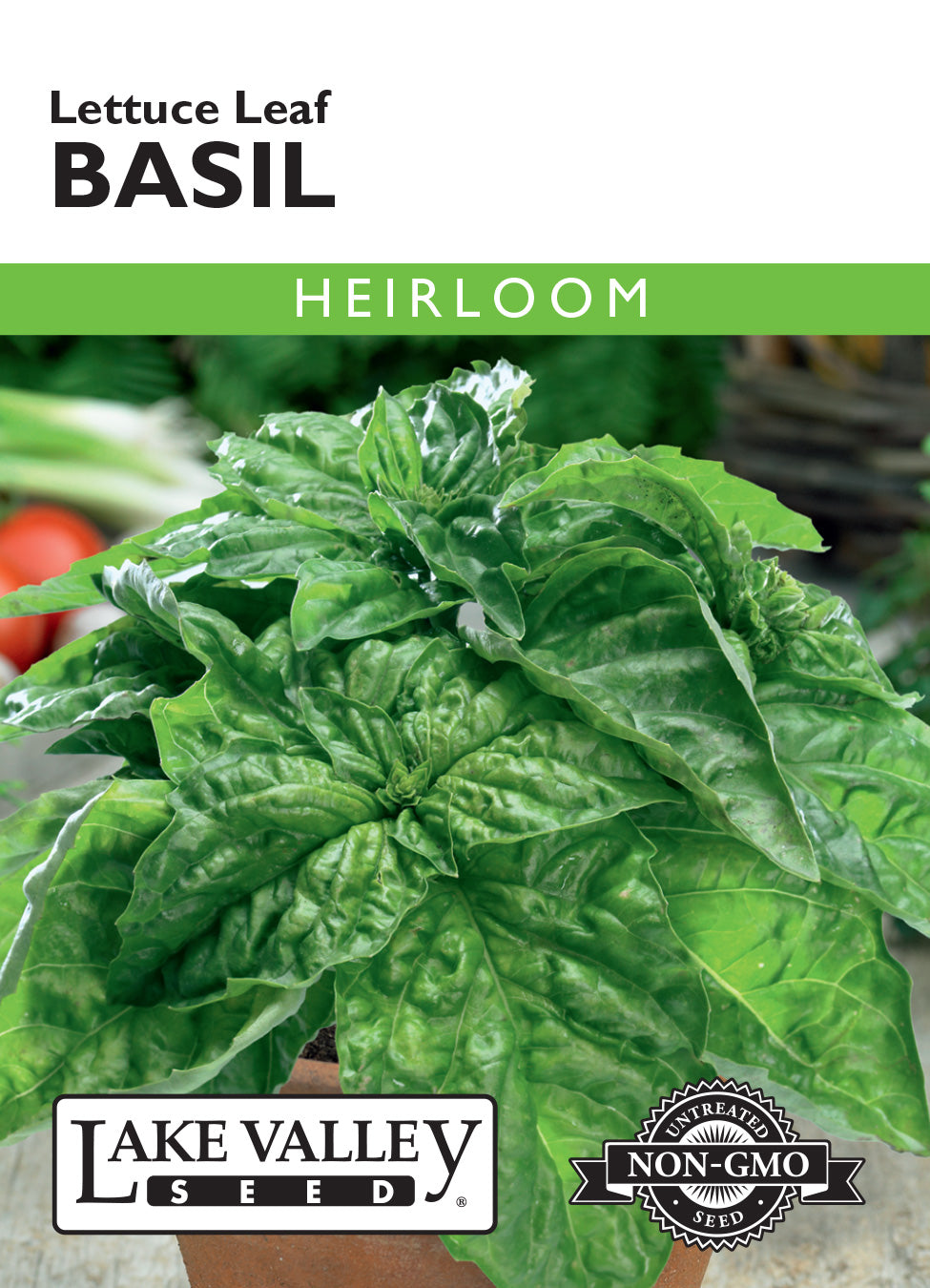 Basil Lettuce Leaf Seeds
