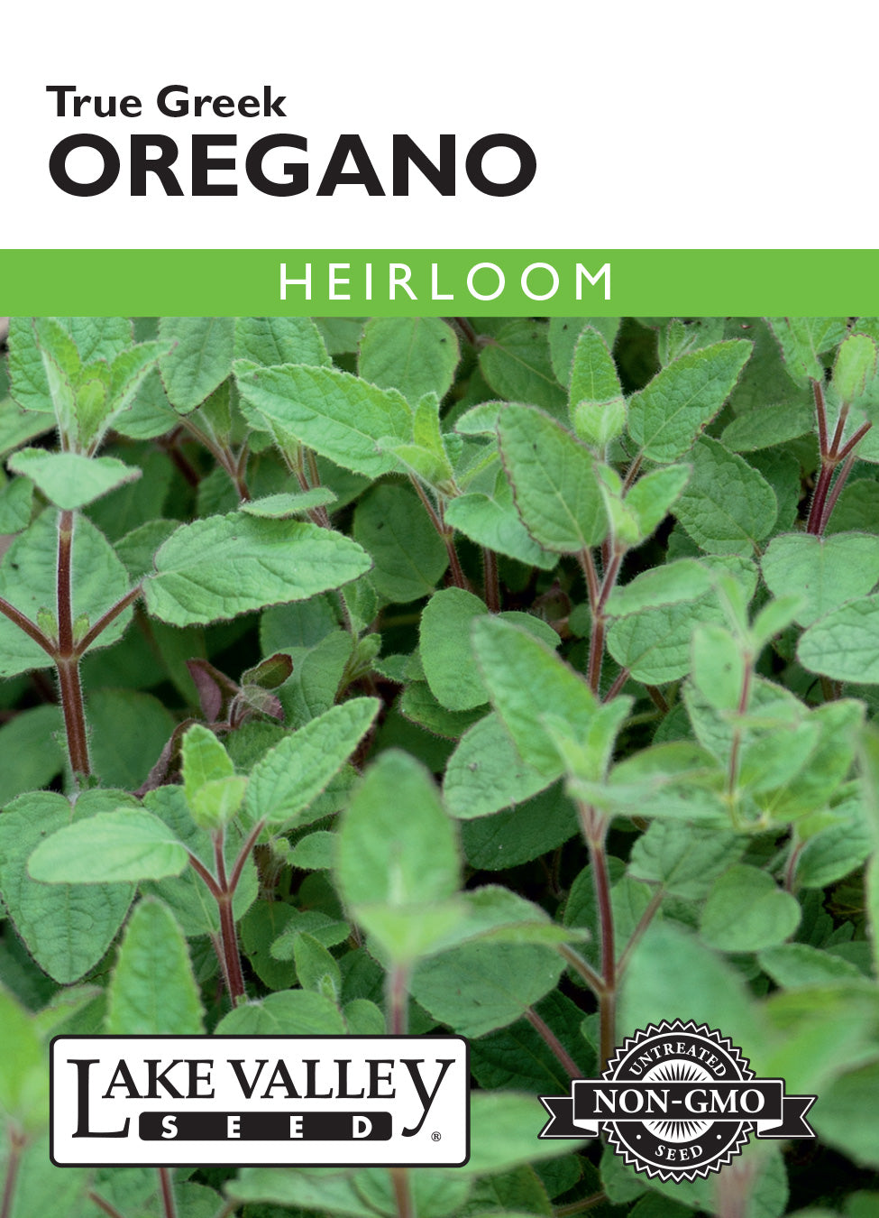 Oregano True Greek Seeds