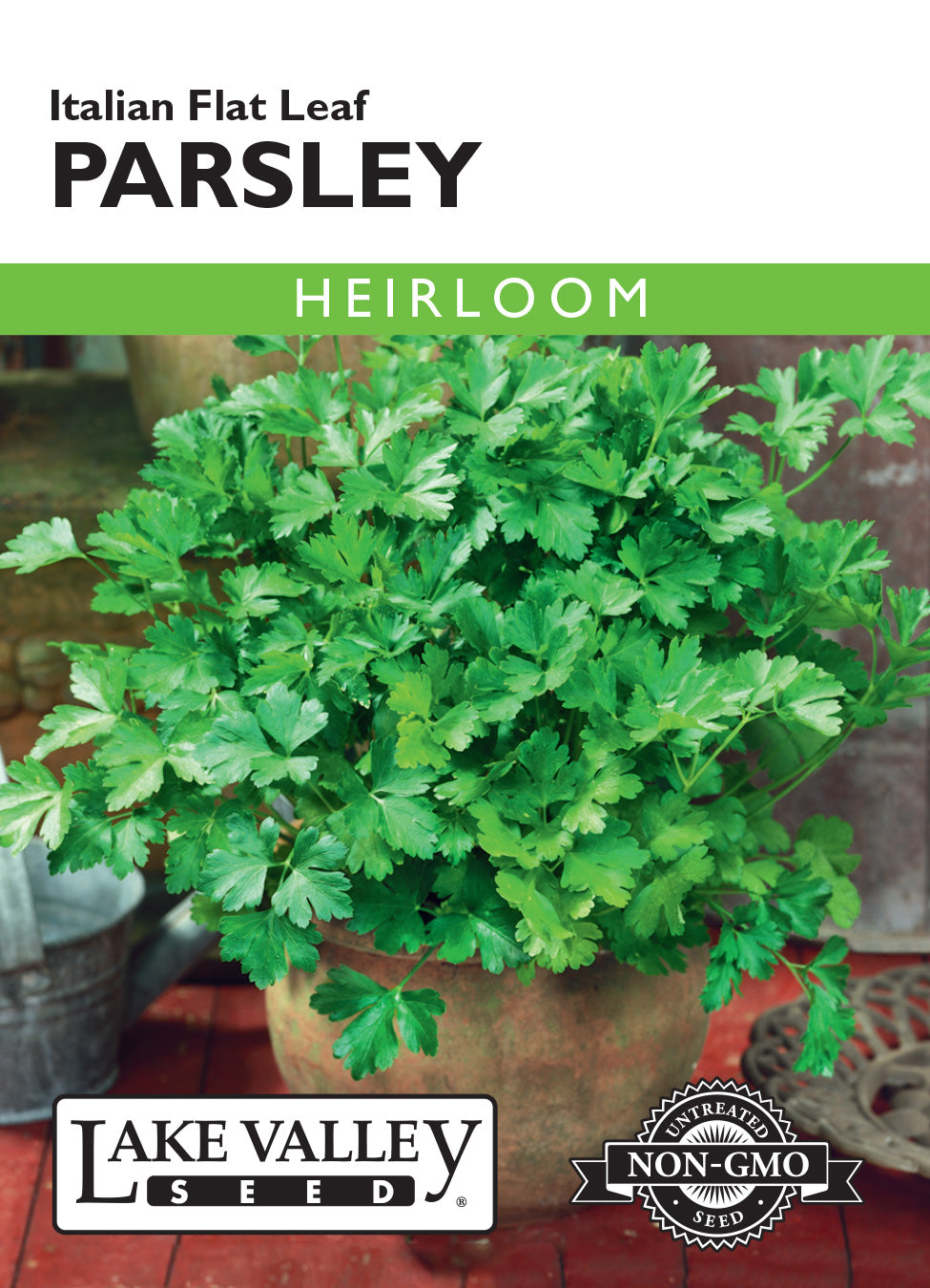 Parsley Italian Flat Leaf Seeds