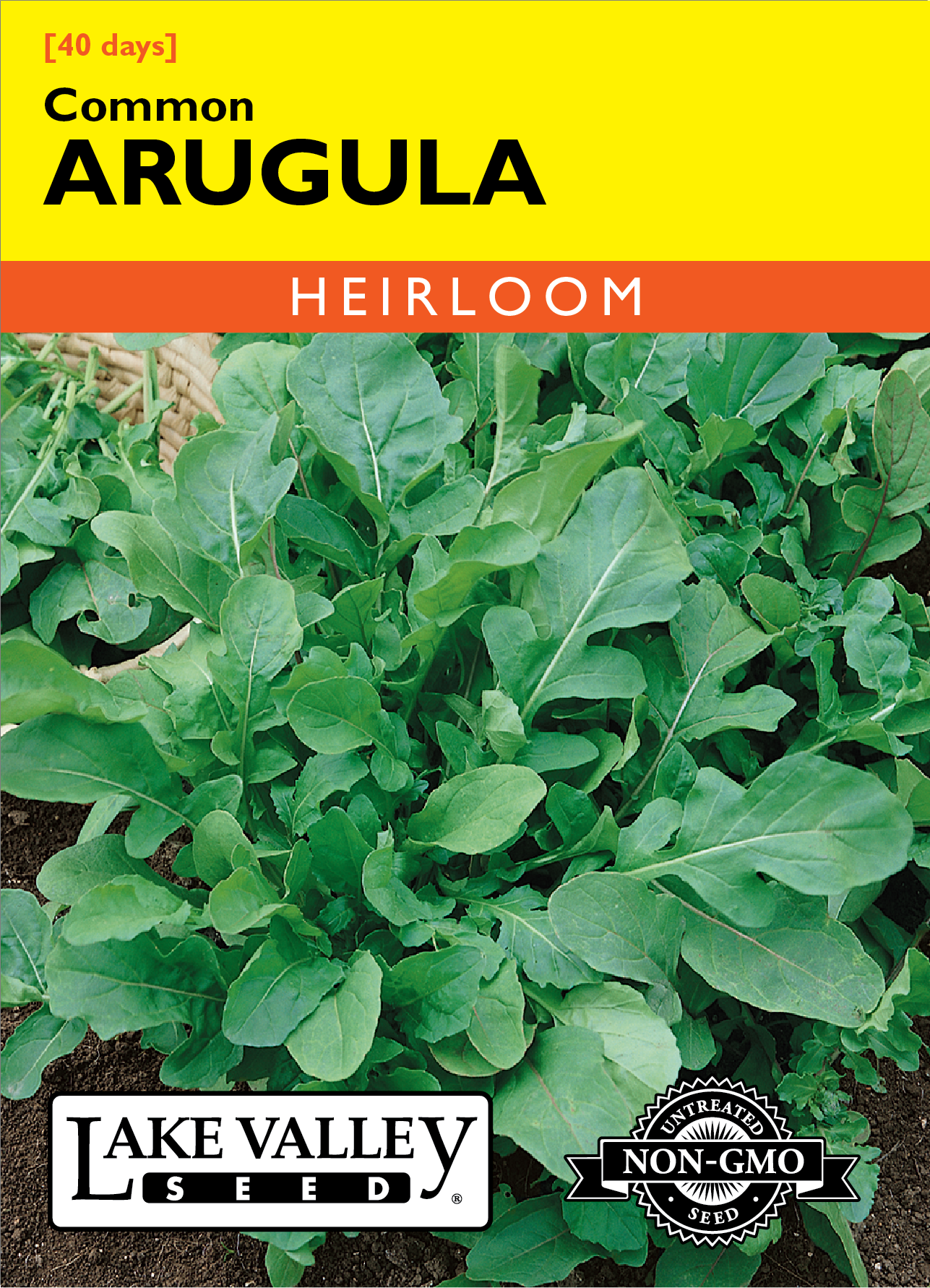Arugula Common Seeds