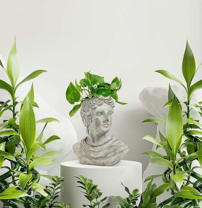 Roman Woman Planter
