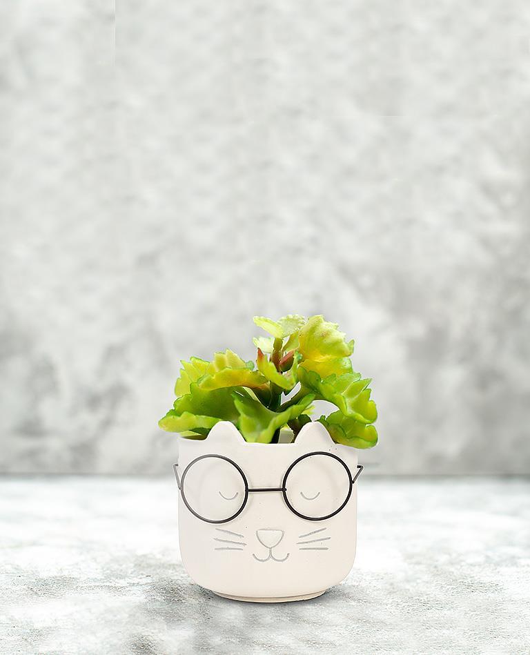 plant pot face with glasses Cat Face Planter with Glasses
