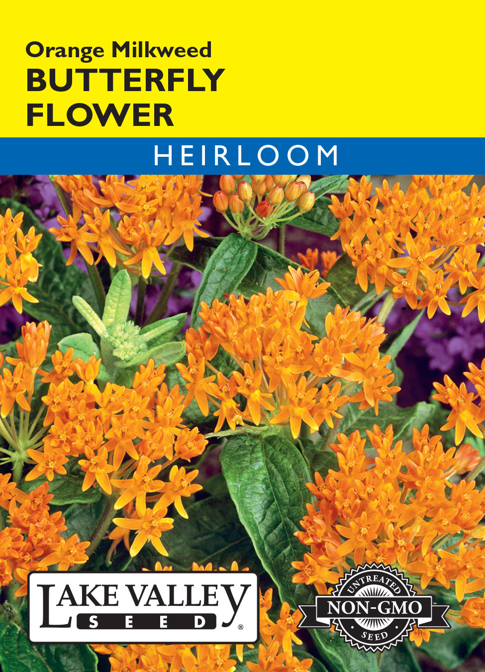Orange Butterfly Flower Seeds