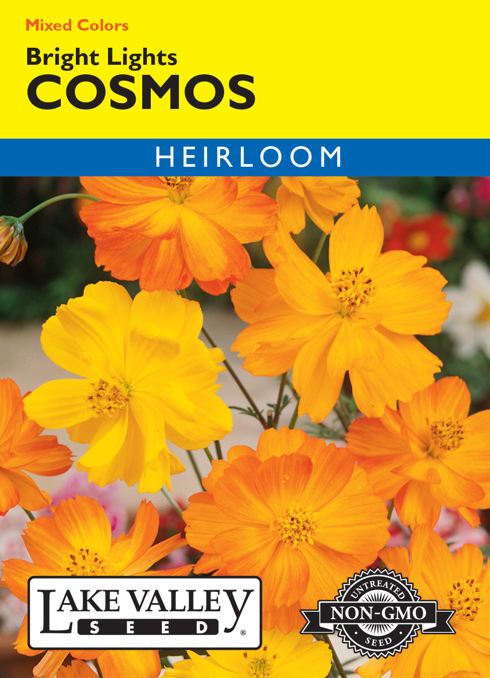 Bright Lights Cosmos Seeds