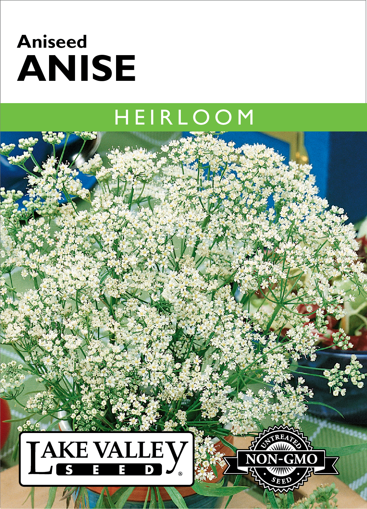 Anise Aniseed Seeds