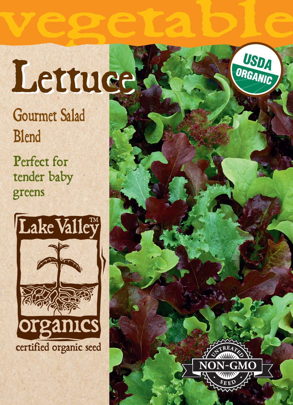 Organic Lettuce Gourmet Salad Seeds