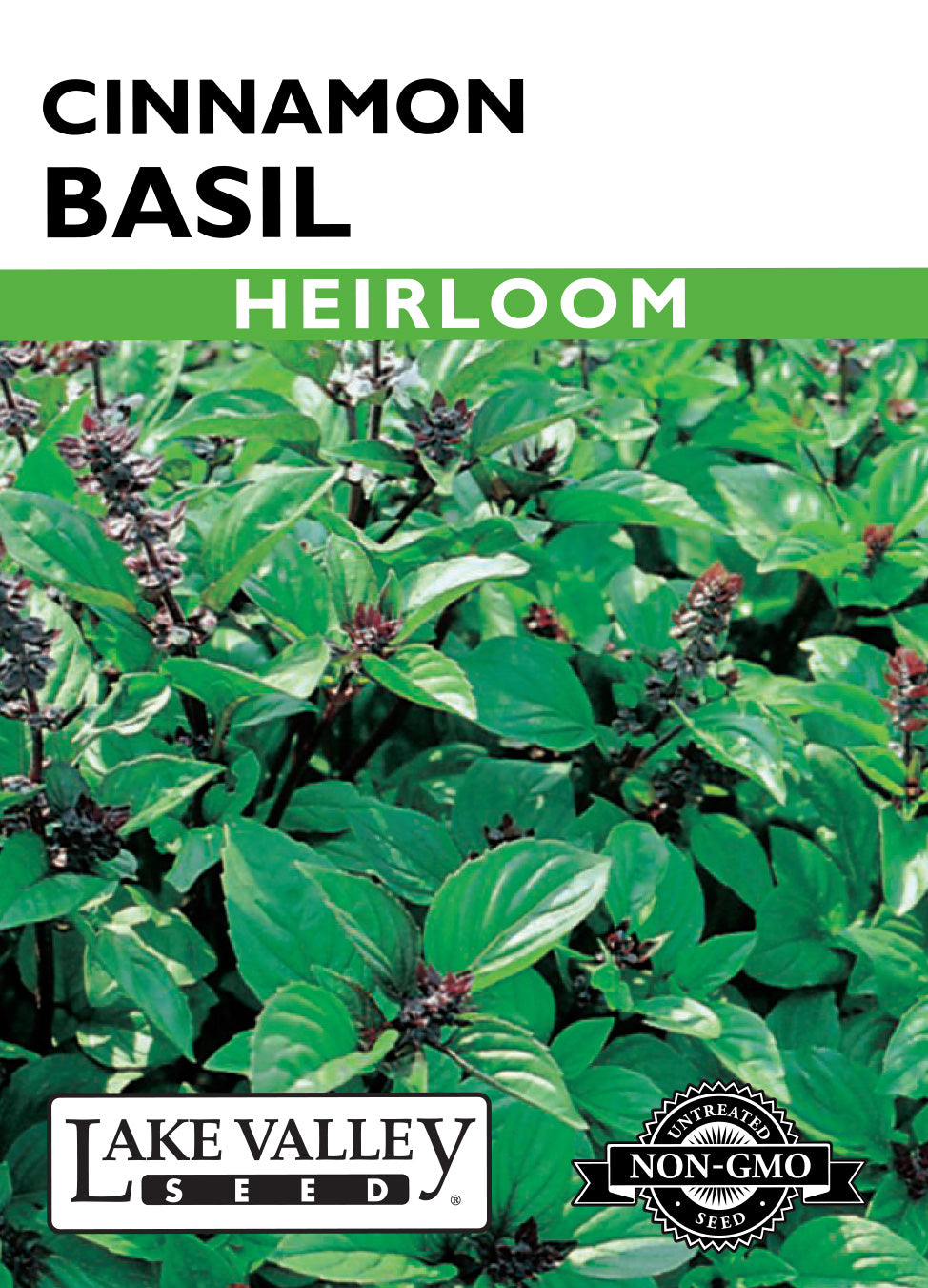 Basil Cinnamon Seeds