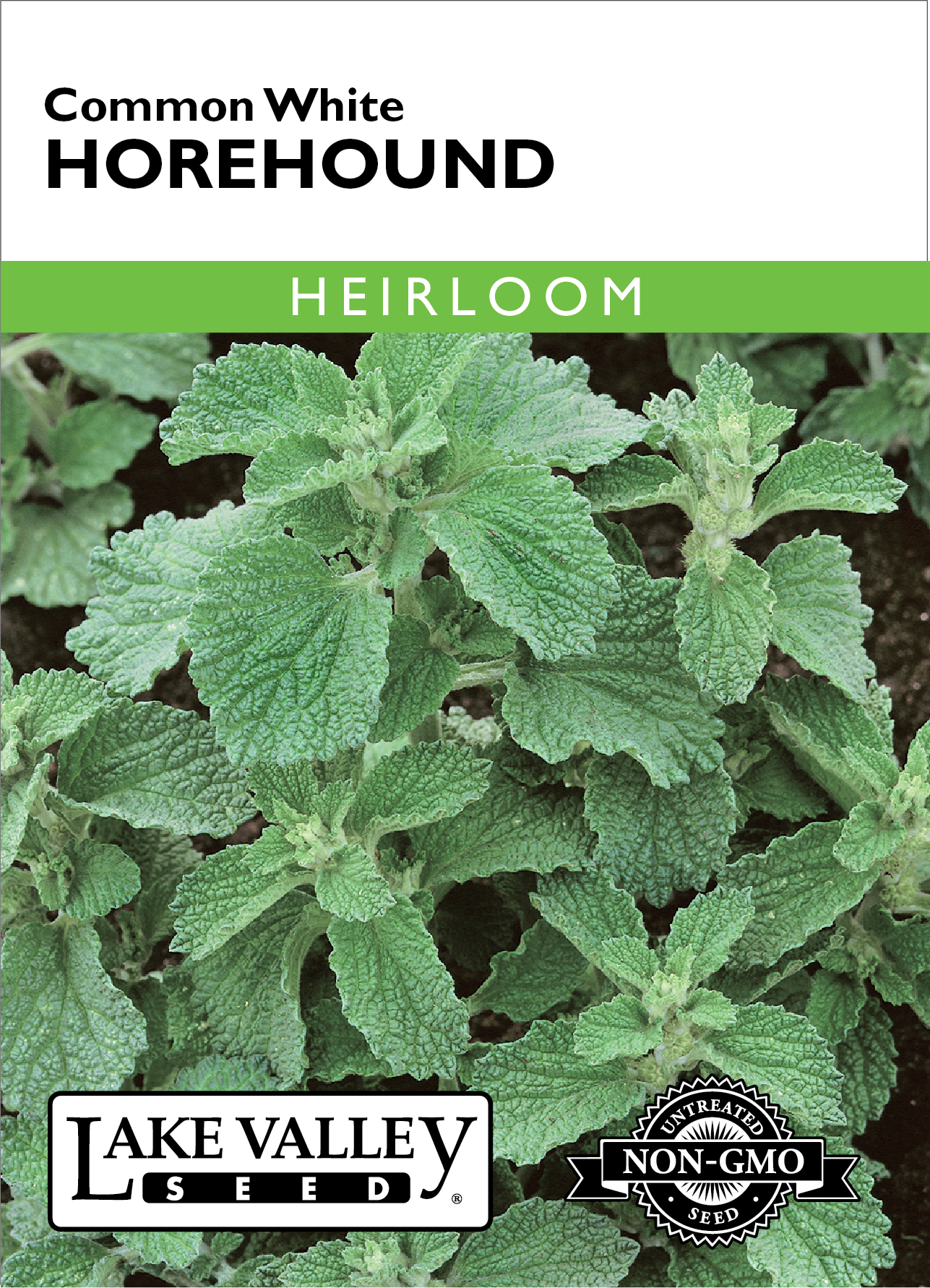Horehound Common White Seeds