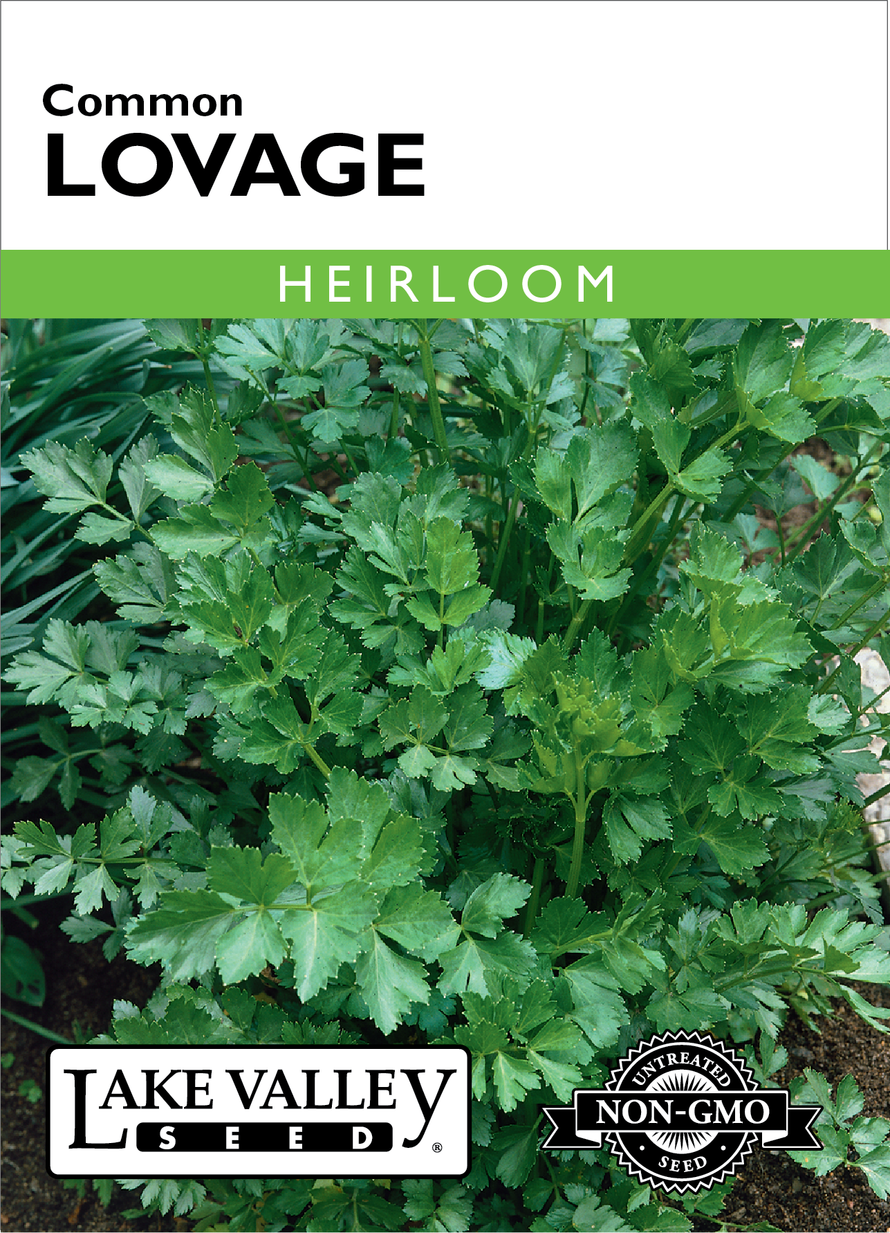 Lovage Common Seeds
