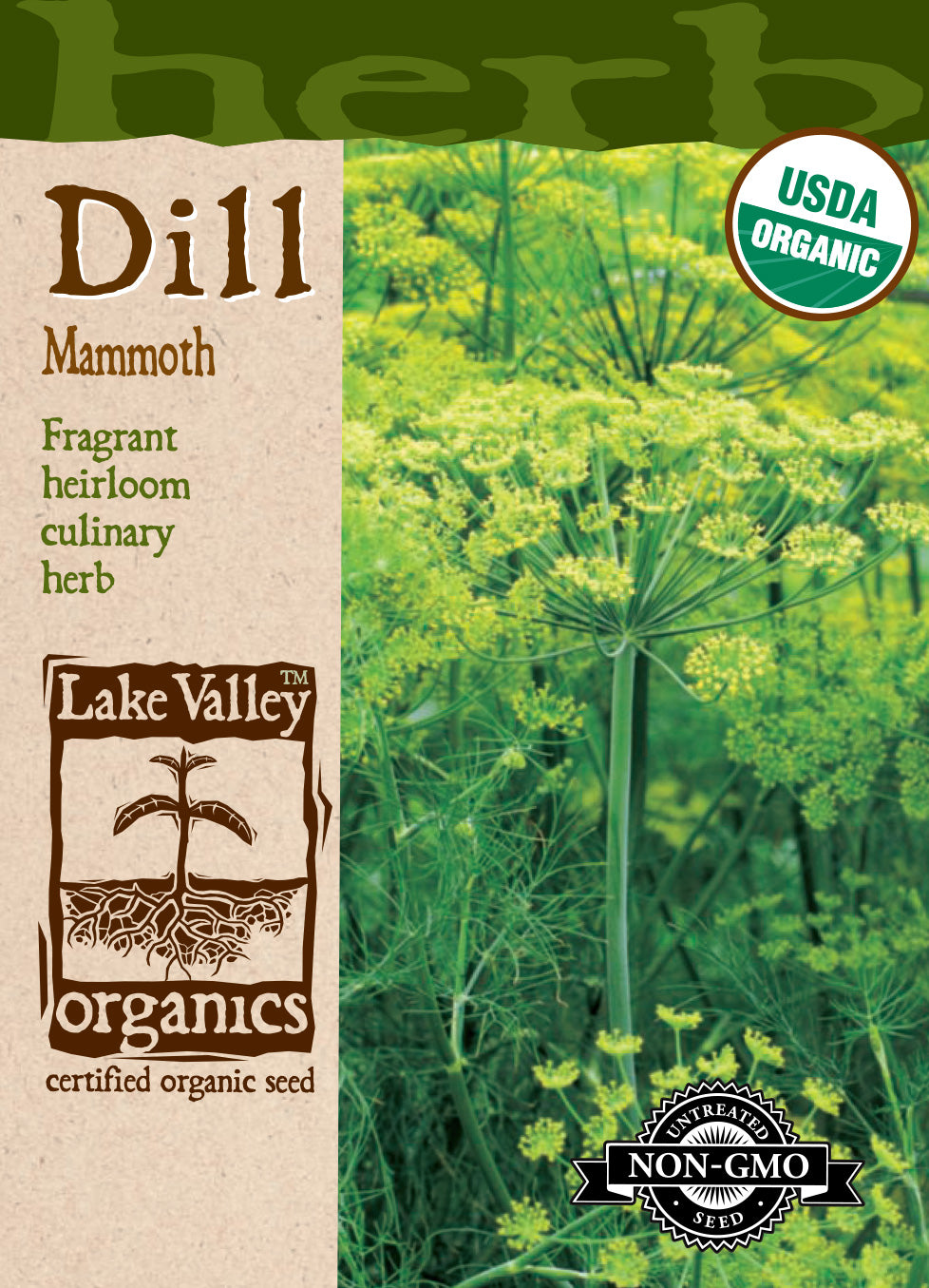 Organic Dill Mammoth Seeds