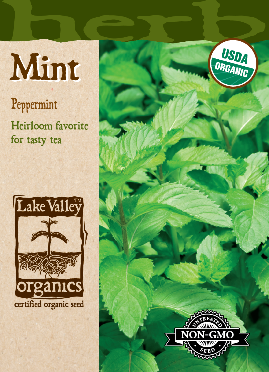 Organic Mint Peppermint Seeds
