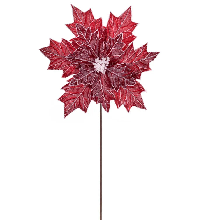 Red/White Embossed Poinsettia