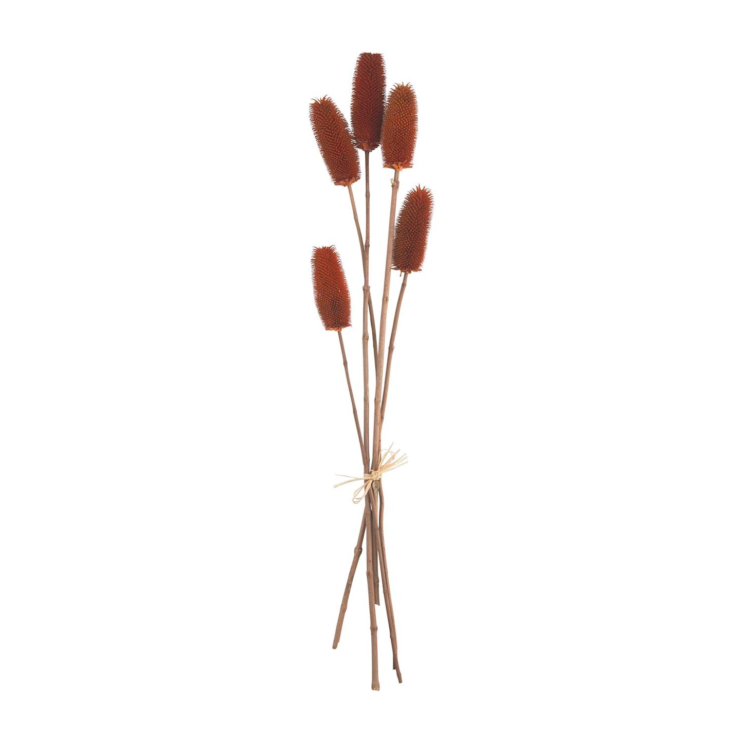 Thistle Stem Bundle