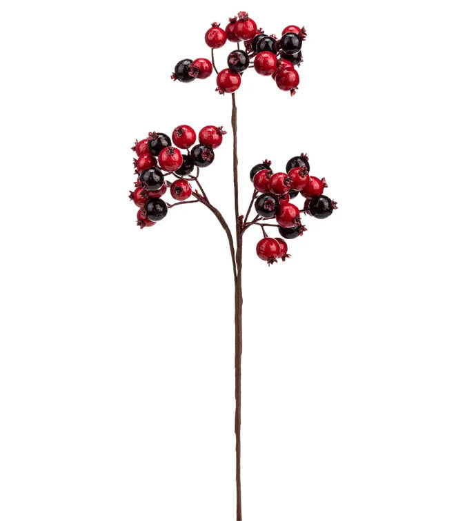 Red and Burgundy Berry Cluster