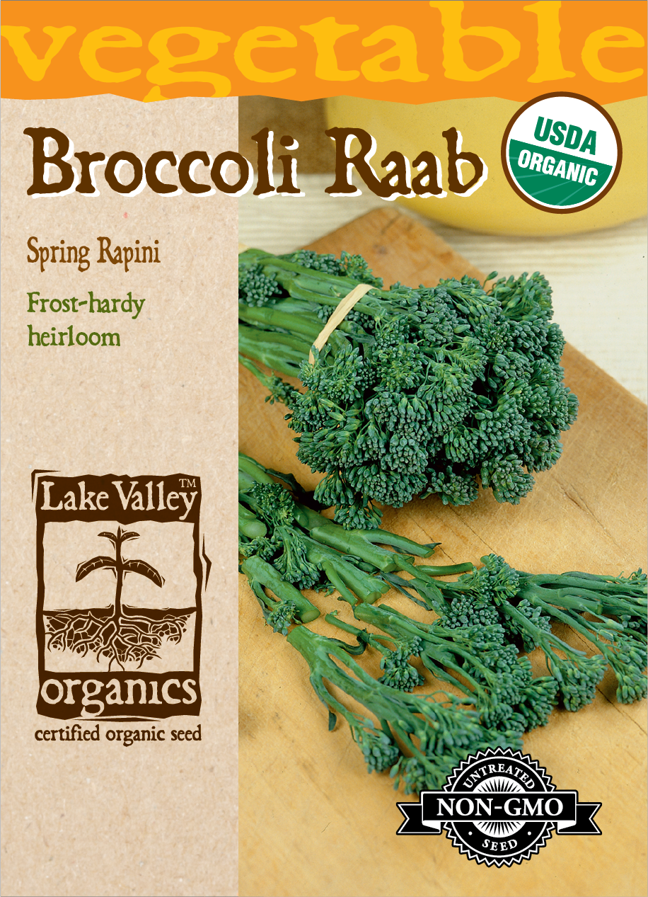 Organic Broccoli Raab Spring Rapini Seeds