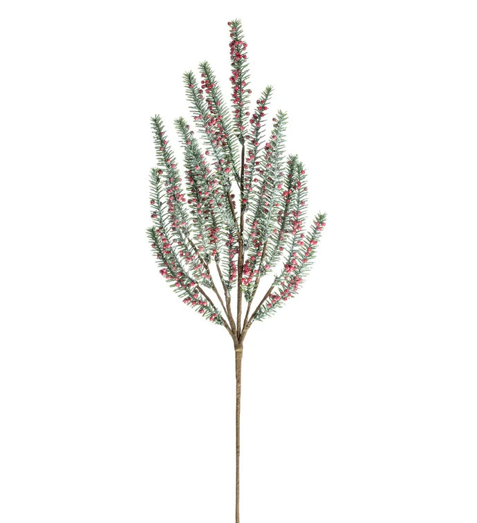 Yew Red Berry Spray