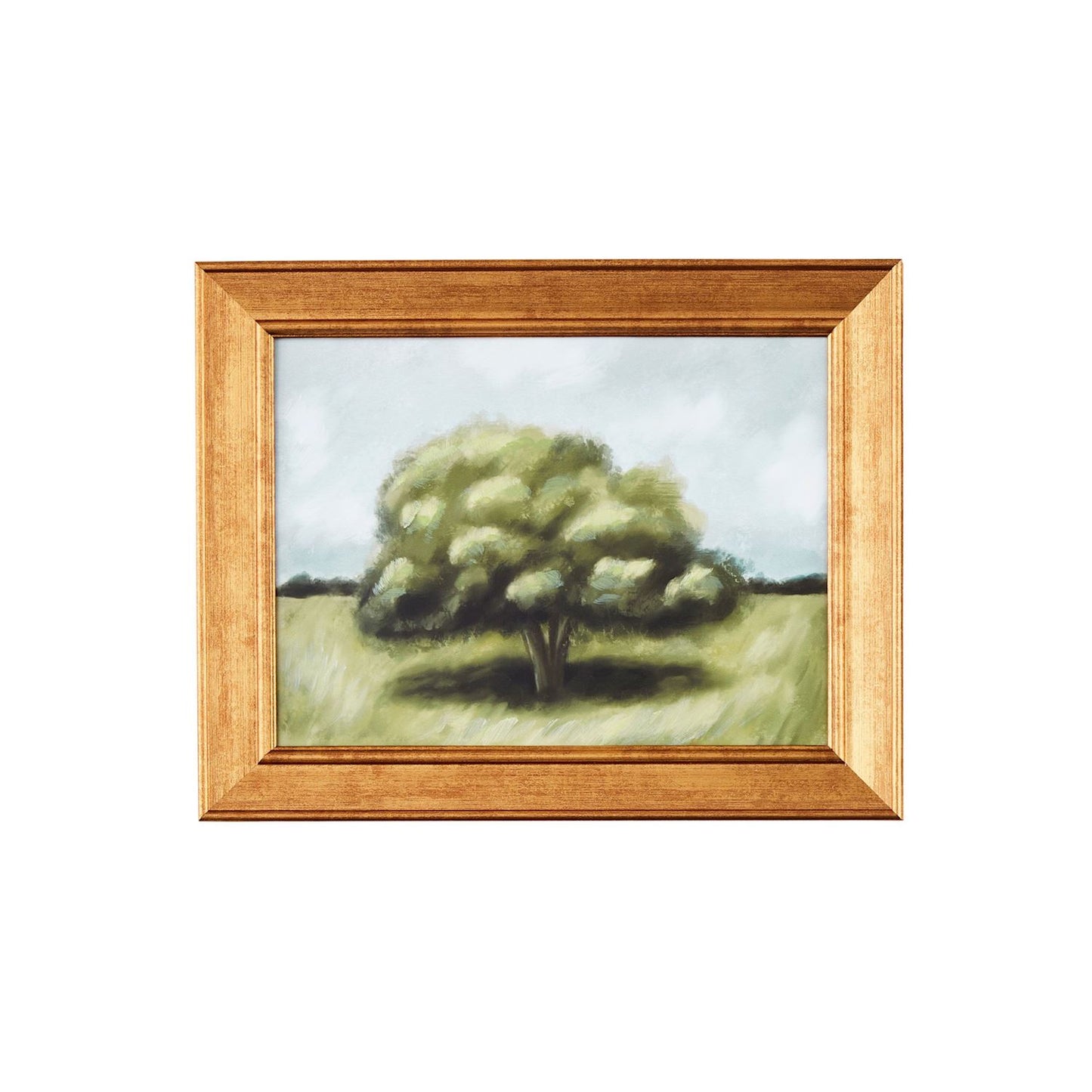 Landscape Framed Art