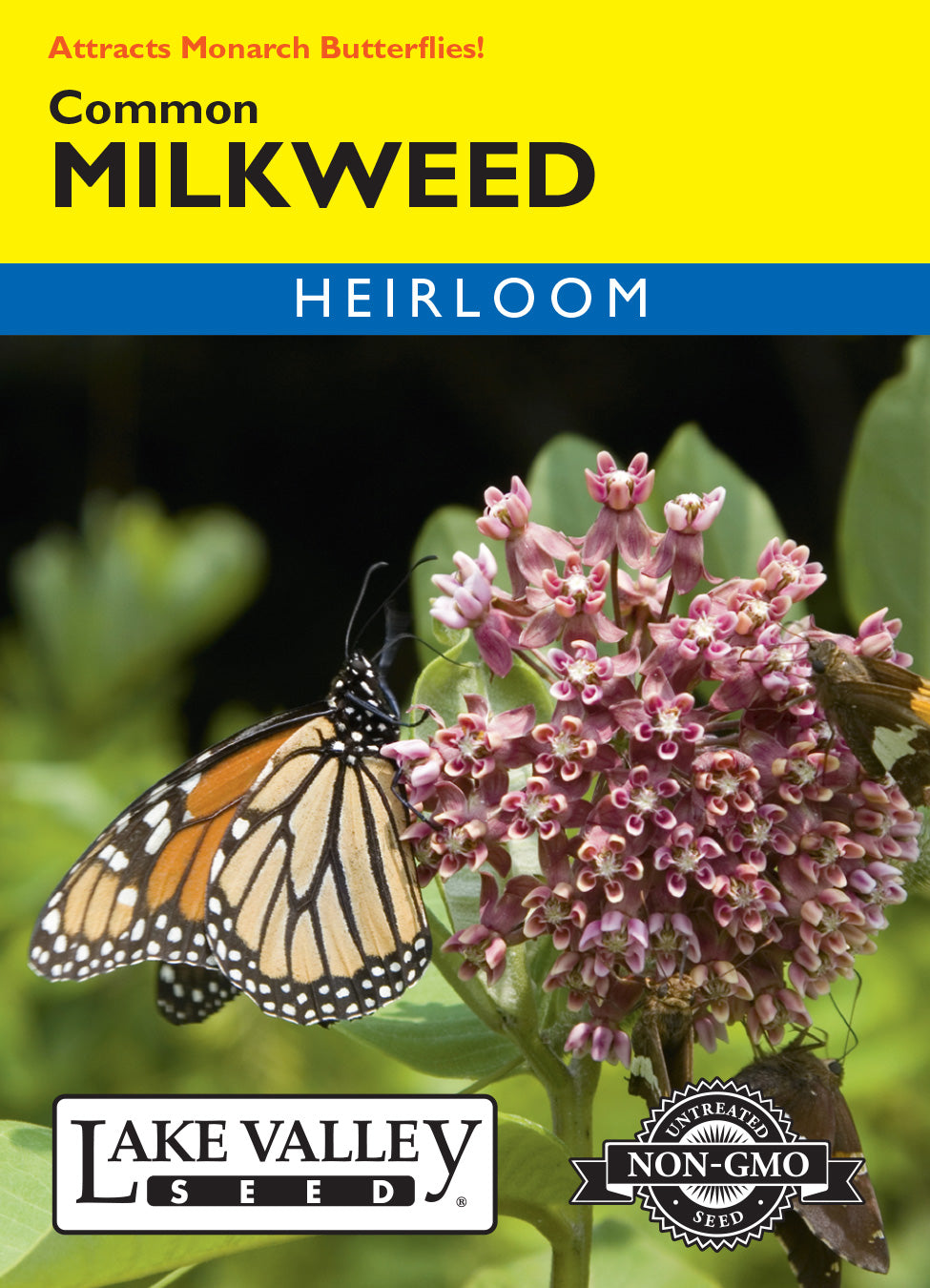 Common Milkweed Seeds