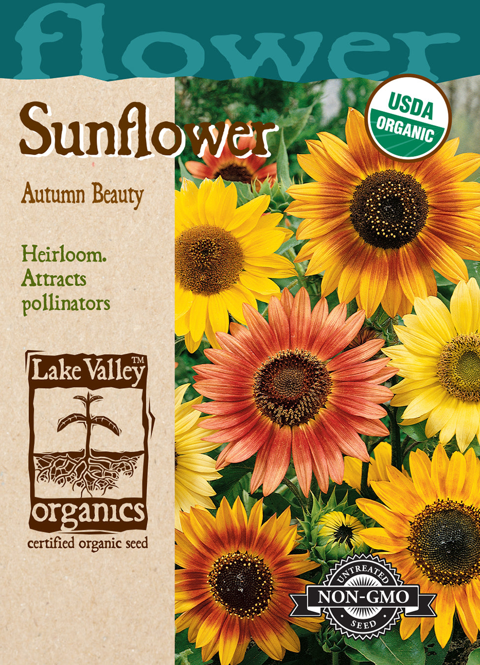 Organic Sunflower Autumn Beauty Mixed Colors Seeds