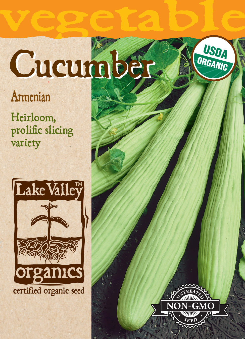 Organic Cucumber Armenian Seeds
