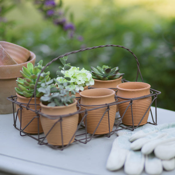 terra cotta pots for succulents Wire Caddy W Six Terra Cotta Pots - Handcrafted Decorative Pot