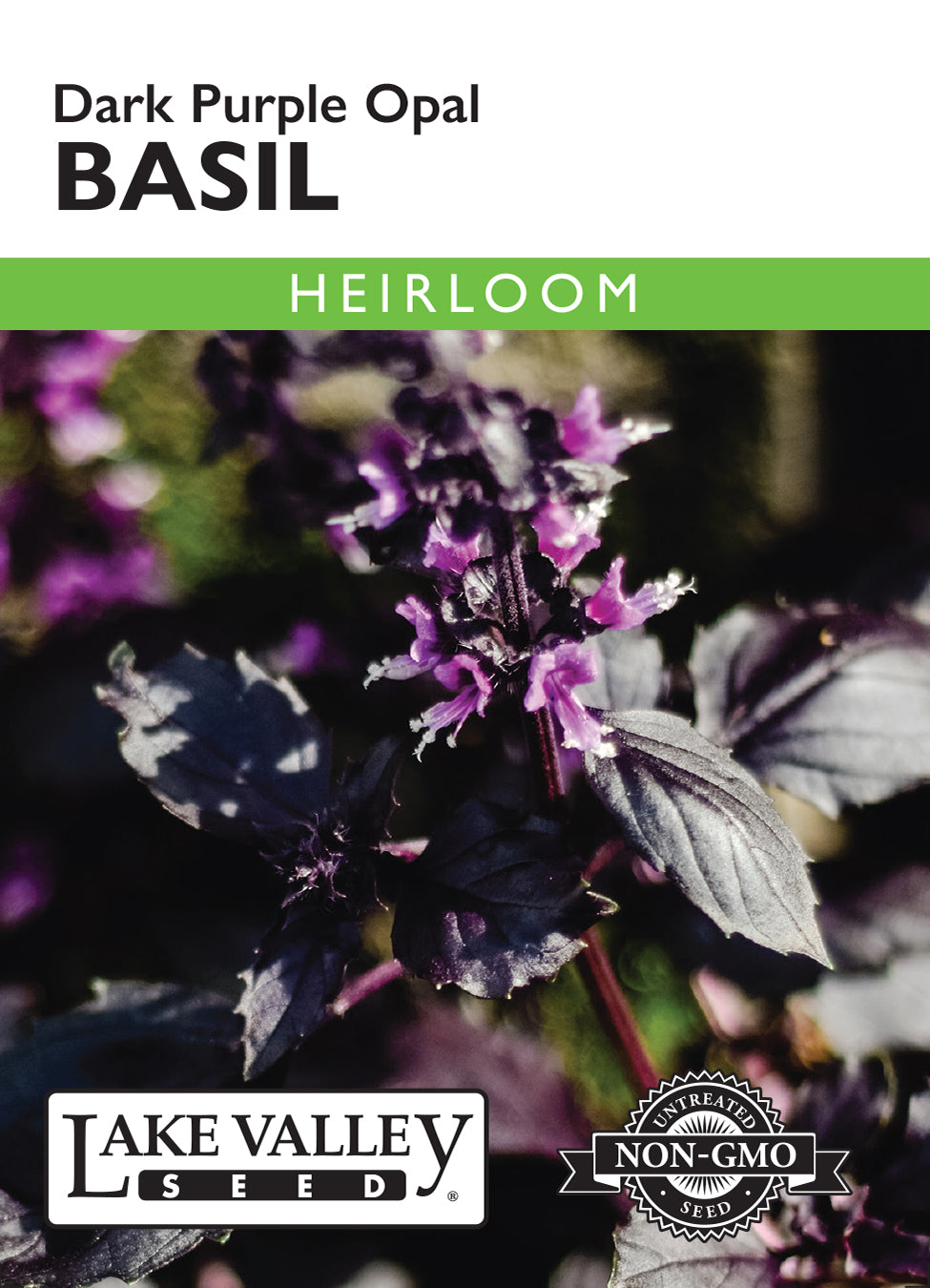Basil Dark Purple Opal Seeds